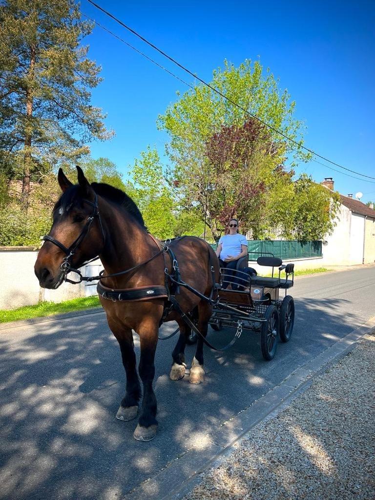 Отель Le Gite De Gaia Villemer  Экстерьер фото